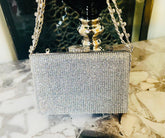 Fancy Clutch-10028 (Silver)