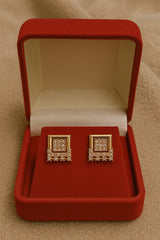 Zircon Fancy Studs-174 (Golden)