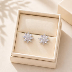 Zircon Studs-219 (Silver)