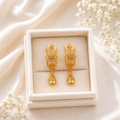 Zircon Hoop Earring-243 (Golden)