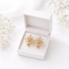 Zircon Hoop Earring-244 (Golden)