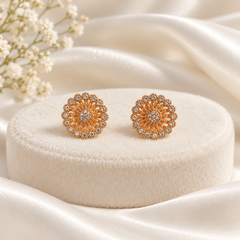 Zircon Studs-239