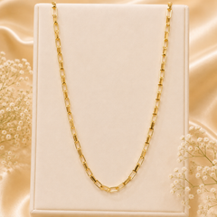 Stainless steel Gold Chain-189 (Golden)