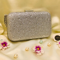 Fancy Clutch-1009 (Silver)