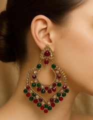 Fancy Earring-450 (Multi)