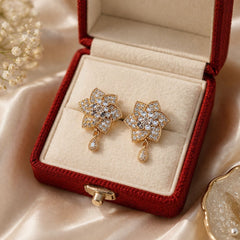 Zircon Earring-163 (White)