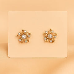 Zircon Fancy Studs-160 (Silver/Golden)
