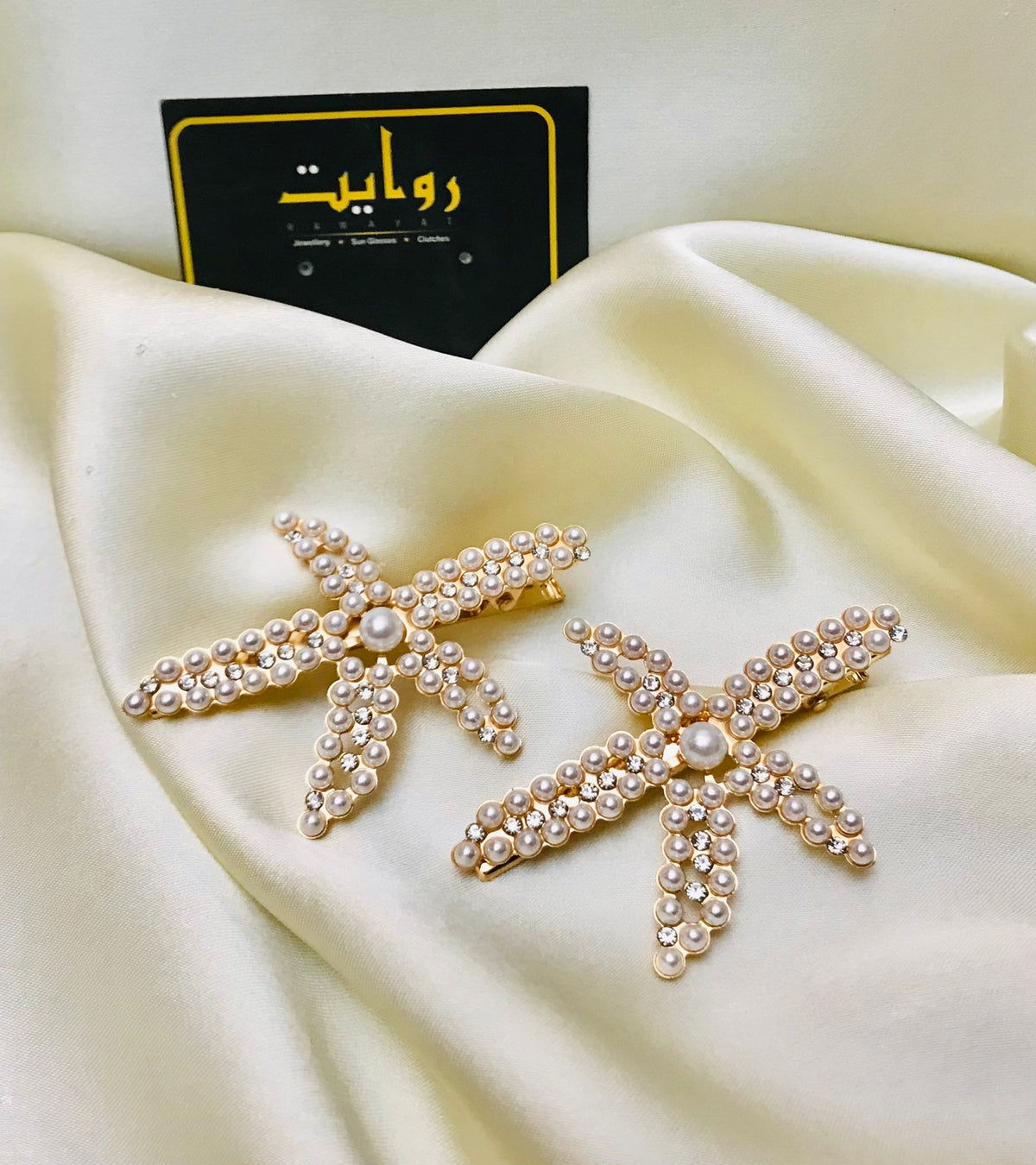 Hair Pin-67 (Pack of 2)